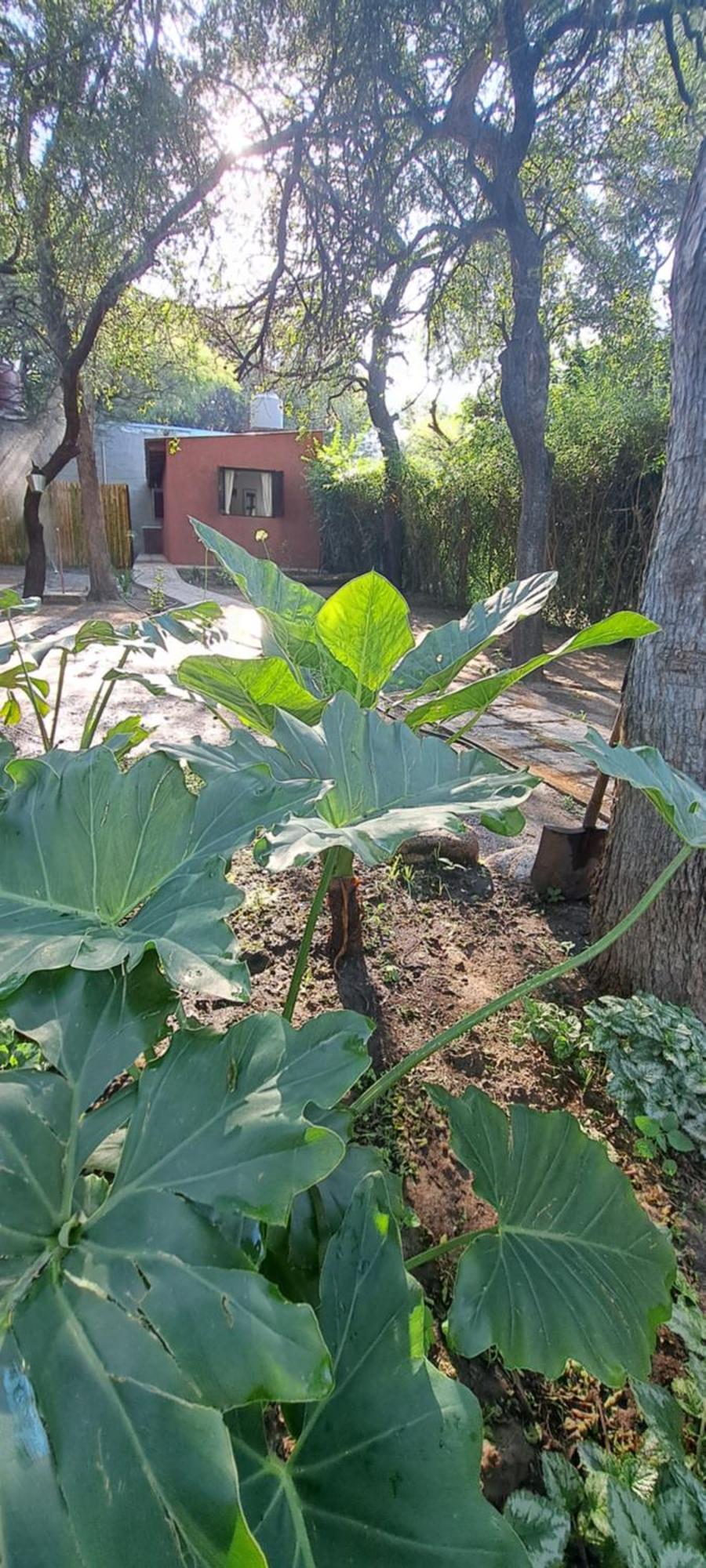 Departamento Rosas * Villa Las Rosas